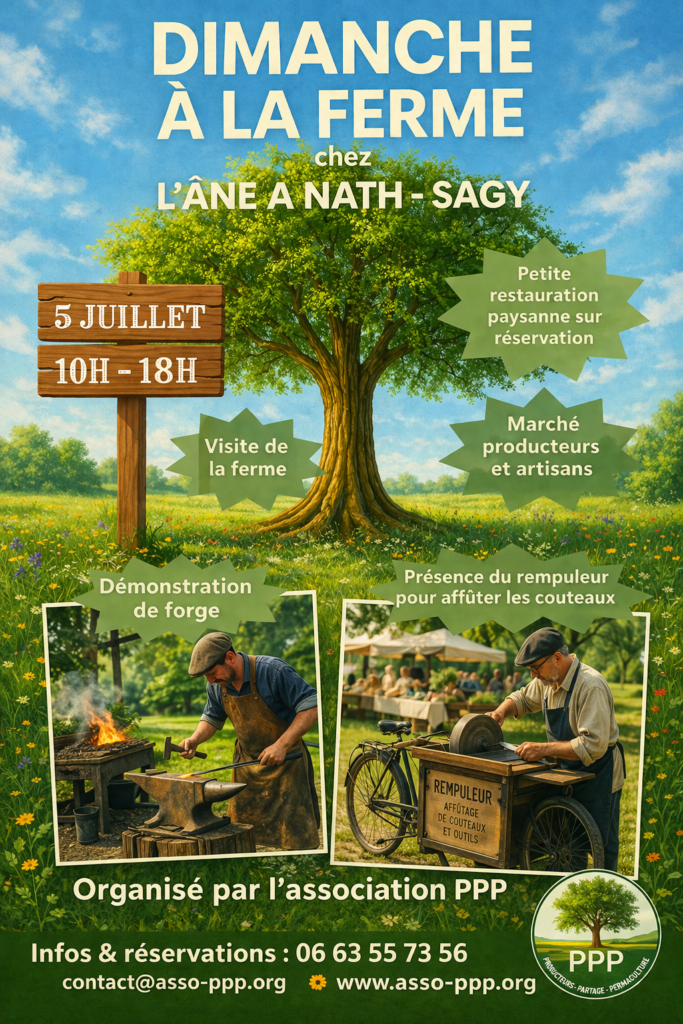 Un dimanche à la ferme